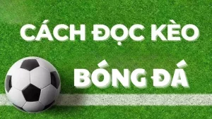 Vin88 Cách đọc và hiểu tỷ lệ kèo châu Á, kèo châu Âu, kèo Tài Xỉu