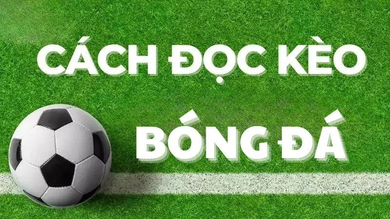 Vin88 Cách đọc và hiểu tỷ lệ kèo châu Á, kèo châu Âu, kèo Tài Xỉu