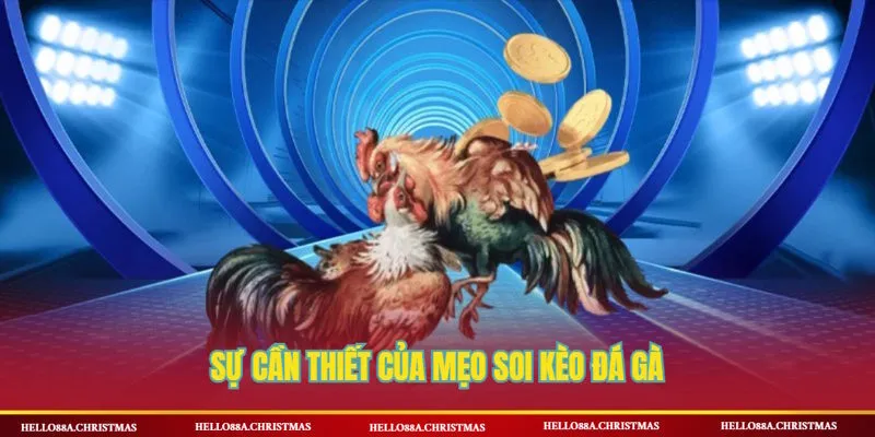 Vin88 – Kinh nghiệm soi gà và chọn kèo chuẩn xác